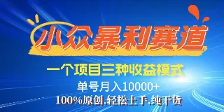 视频号成为热门赛道，零粉丝账号也能打造爆款内容。三种盈利模式探索 图1