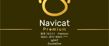 【含异常解决】Navicat Premium 16 破解教程 图1