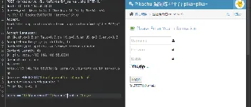 验证码绕过不过期验证码的方法与原理            图3