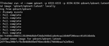Qdrant在.NET中的应用：高性能向量搜索利器           图2