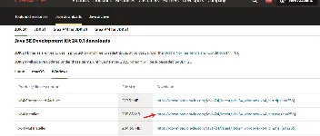 JAVA 24 环境安装与配置教程 图1