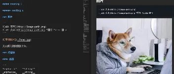 使用Vditor将Markdown文档渲染成网页(Vite+JS+Vditor) 图1