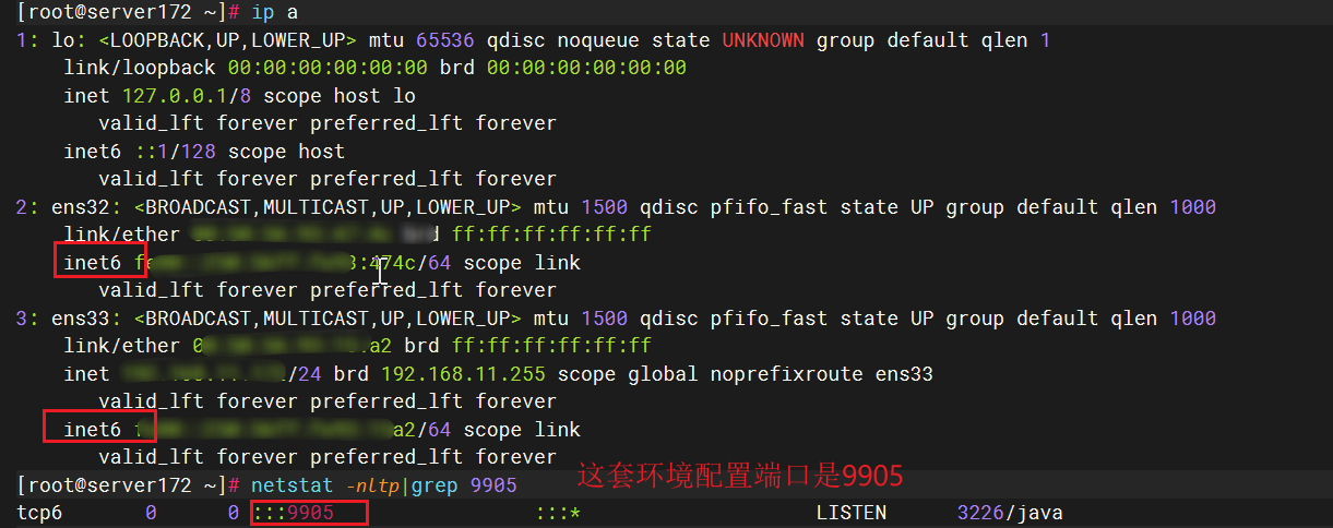 image-20250411105929962