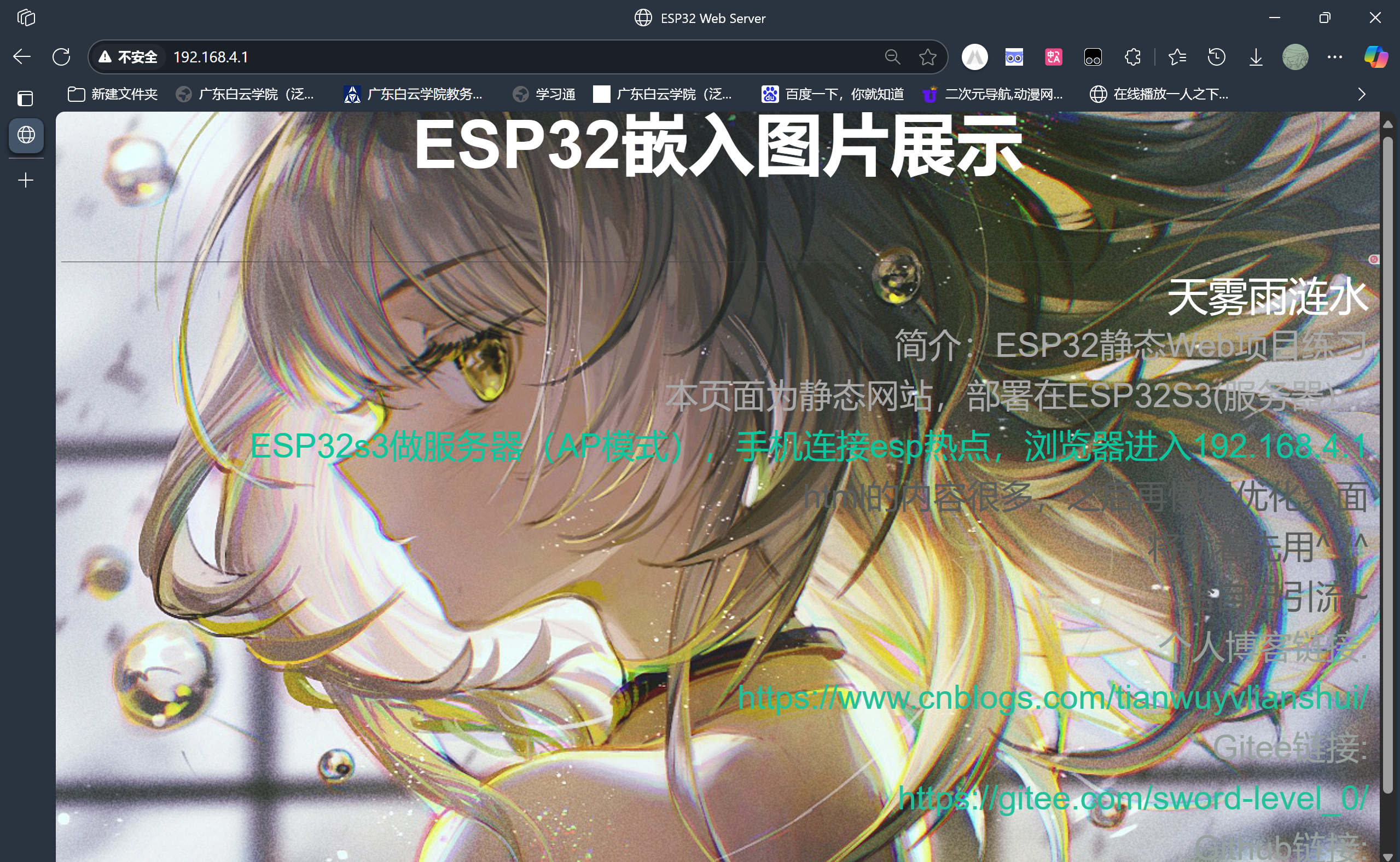 image-20250524172054646