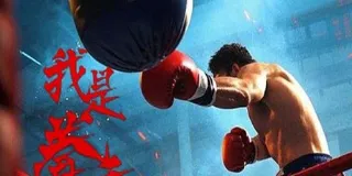 2025年国产动作片《我是拳手2025》HD国语中字 图1