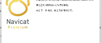 【含异常解决】Navicat Premium 16 破解教程 图3